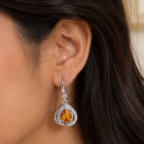 Fancy Earring (2076)