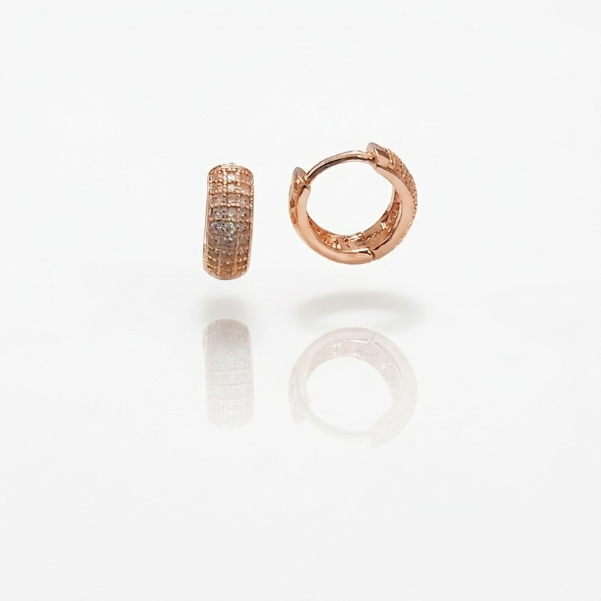 Anti Tarnish CZ Earring 161