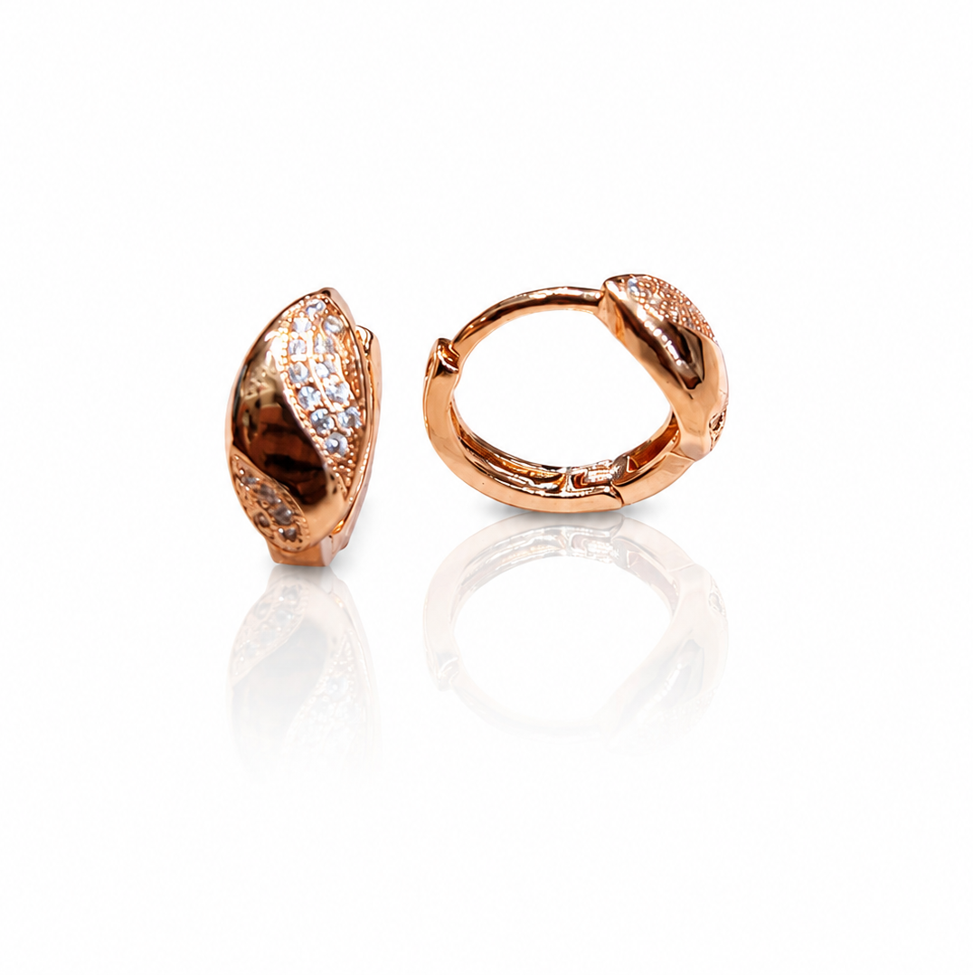 Anti Tarnish CZ Earrings 45